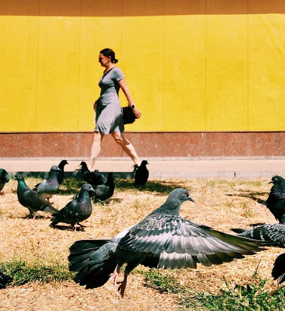 Антон Мищенко – Street photography, фото 1